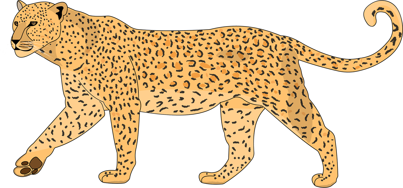 Little South Africa messages sticker-11