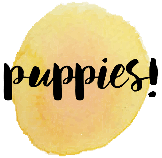 GirlTalk Affirmations messages sticker-6