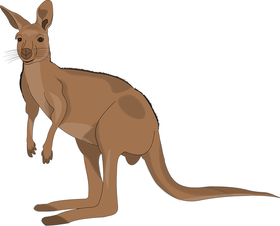 Little Australia messages sticker-2