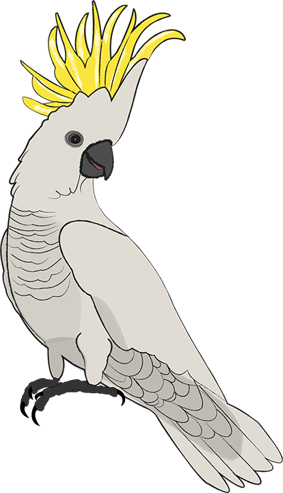 Little Australia messages sticker-4