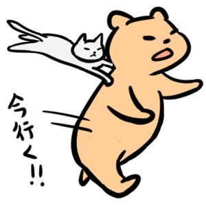 毎日くま&ねこステッカー Everyday Kuma & Neko Sticker messages sticker-11