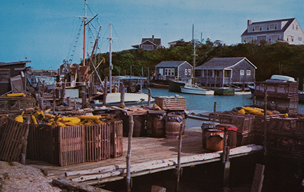Martha's Vineyard Postcards messages sticker-11