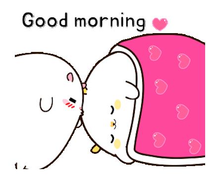 Fat Funny Hamster Animated messages sticker-5