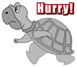 Grey Turtle messages sticker-10