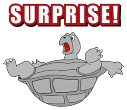 Grey Turtle messages sticker-6