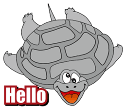 Grey Turtle messages sticker-11