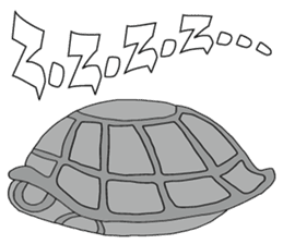 Grey Turtle messages sticker-1