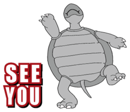 Grey Turtle messages sticker-7