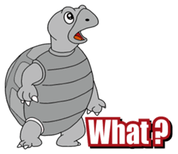Grey Turtle messages sticker-4