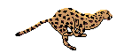 AmyStiker messages sticker-8