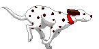 AmyStiker messages sticker-4