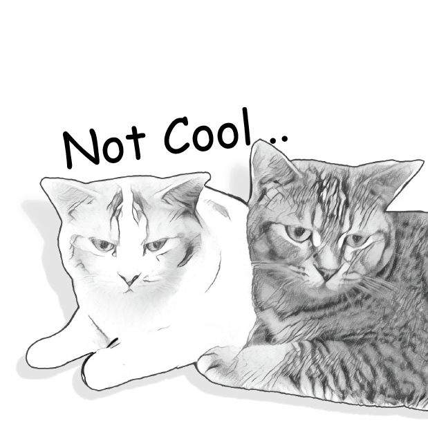 Gorma the Cat messages sticker-10