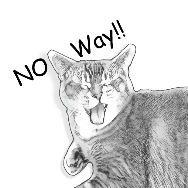 Gorma the Cat messages sticker-9