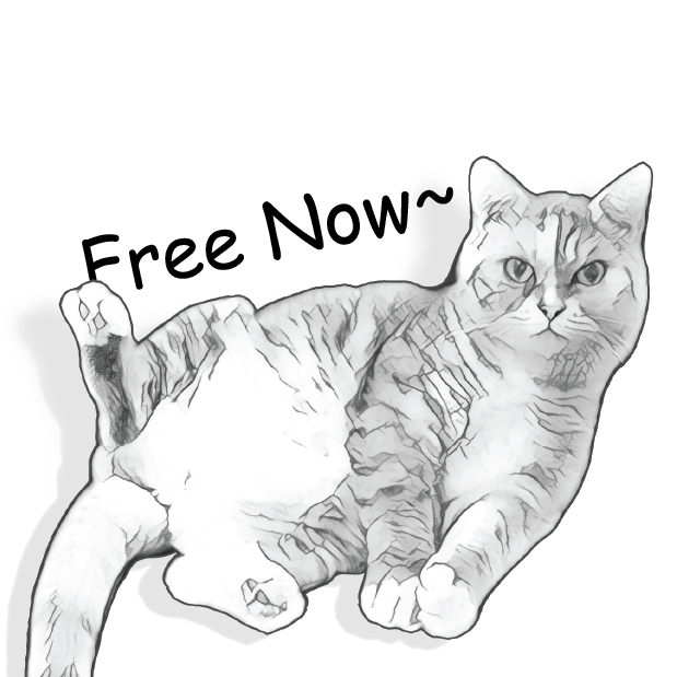 Gorma the Cat messages sticker-1