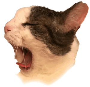 Your Cat Snowball messages sticker-5