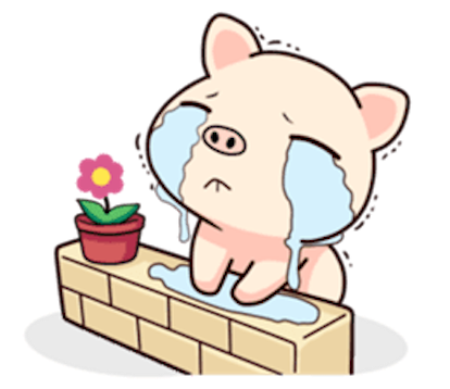 Pig and Cat Lovely Friend messages sticker-1