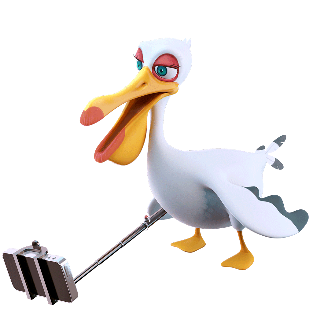Dolphy Dash messages sticker-1