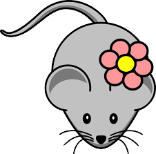 Rat Sticker - Collection Of Stickers messages sticker-11