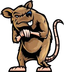 Rat Sticker - Collection Of Stickers messages sticker-6