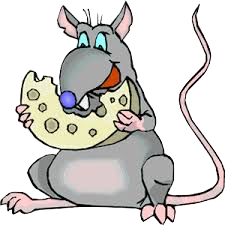 Rat Sticker - Collection Of Stickers messages sticker-8