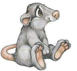 Rat Sticker - Collection Of Stickers messages sticker-0