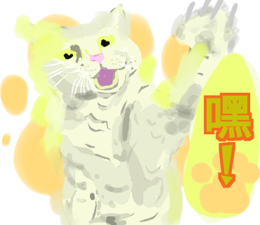 有点怪猫 messages sticker-4