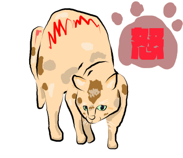 有点怪猫 messages sticker-7