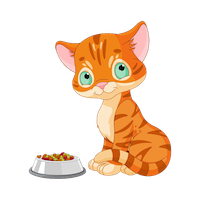 Cat Cute - Awesome Emoji And Stickers messages sticker-1