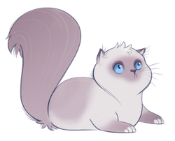 Cat Cute - Awesome Emoji And Stickers messages sticker-11