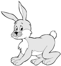 Hares Stickers messages sticker-4
