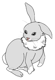 Hares Stickers messages sticker-2