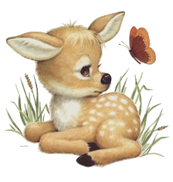 DeerCute - Deer Stickers And Emoji Pack messages sticker-2