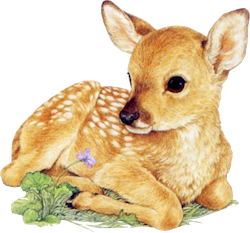 DeerCute - Deer Stickers And Emoji Pack messages sticker-1