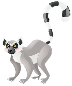 Lemurs Stickers messages sticker-3