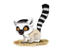 Lemurs Stickers messages sticker-1