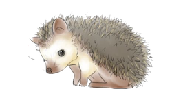 Porcupine Stickers messages sticker-11