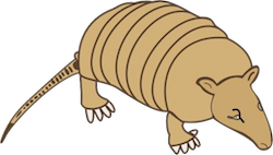 Armadillos Stickers messages sticker-3