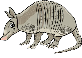 Armadillos Stickers messages sticker-2