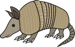 Armadillos Stickers messages sticker-1
