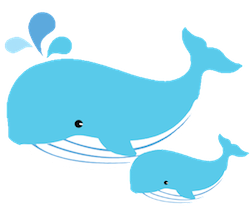 WhalesCute - Whales Emoji And Stickers Pack messages sticker-8