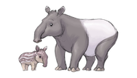 Tapirs Stickers messages sticker-1