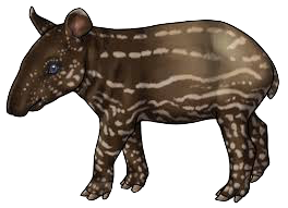 Tapirs Stickers messages sticker-4