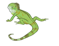 LizardMoji - Lizard Emoji And Stickers Pack messages sticker-3