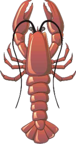 Lobster Stickers messages sticker-8