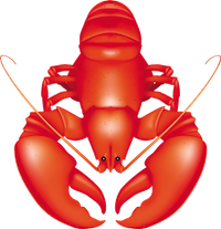 Lobster Stickers messages sticker-4