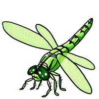 Dragonfly Stickers messages sticker-10