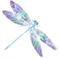 Dragonfly Stickers messages sticker-11