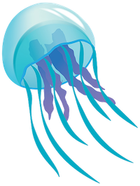 JellyFish Stickers messages sticker-2
