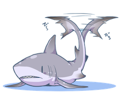 SharkMojis - Shark Emojis And Stickers messages sticker-11
