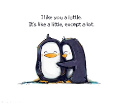 Penguin Cute Stickers messages sticker-4